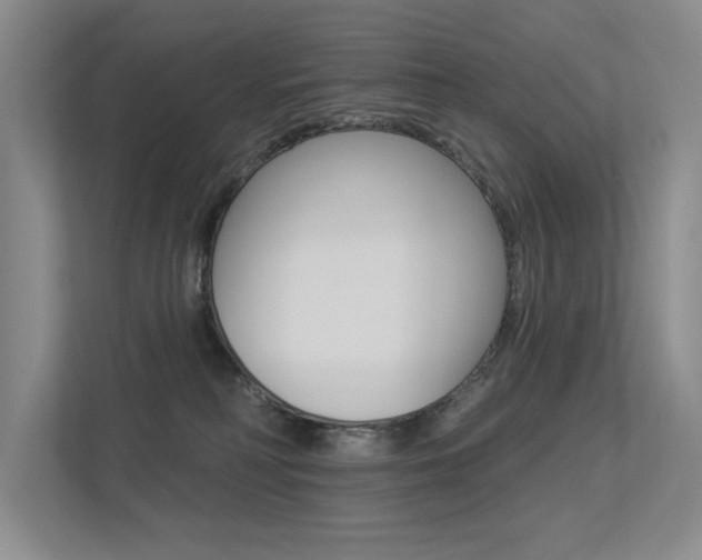 X0000113360230200909151013
