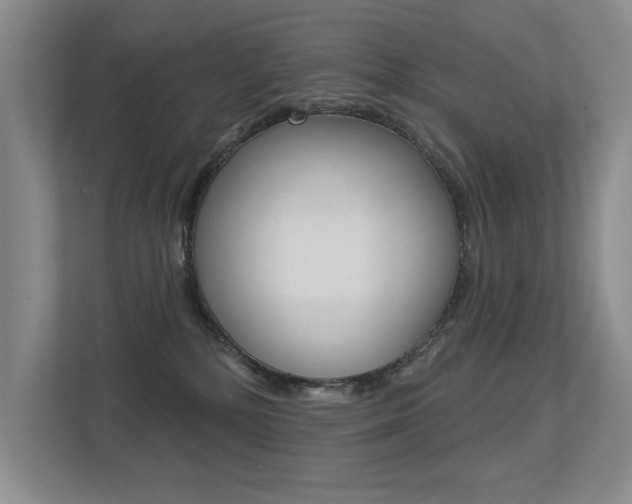 X0000113360232200909151013