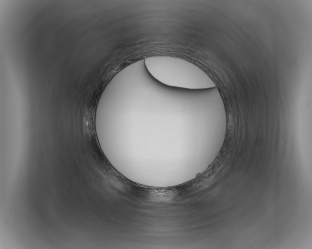 X0000113360234200909151013