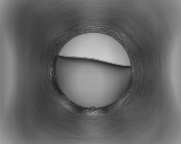 X0000113360235200909151013
