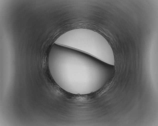 X0000113360236200909151013