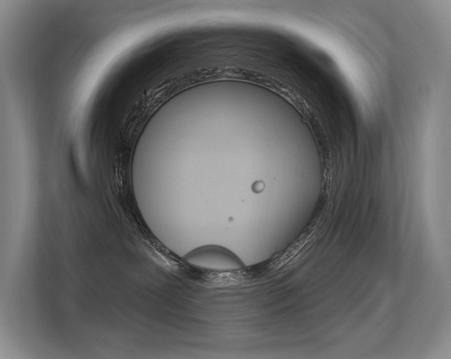 X0000113360239200909151013