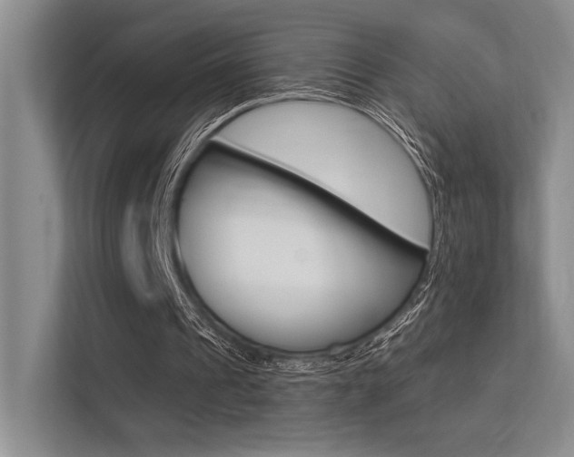 X0000113360241200909151012