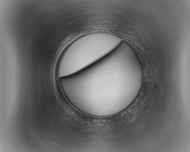 X0000113360242200909151012