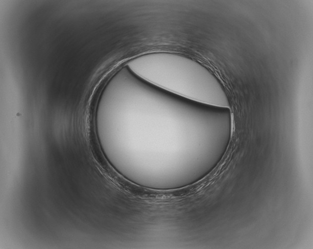 X0000113360243200909151012