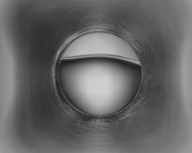 X0000113360244200909151012