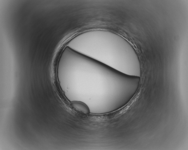 X0000113360245200909151012