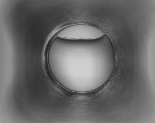 X0000113360246200909151012