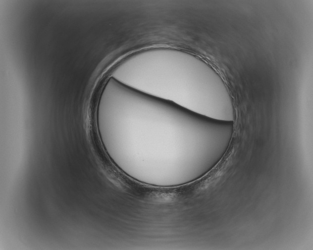 X0000113360247200909151012