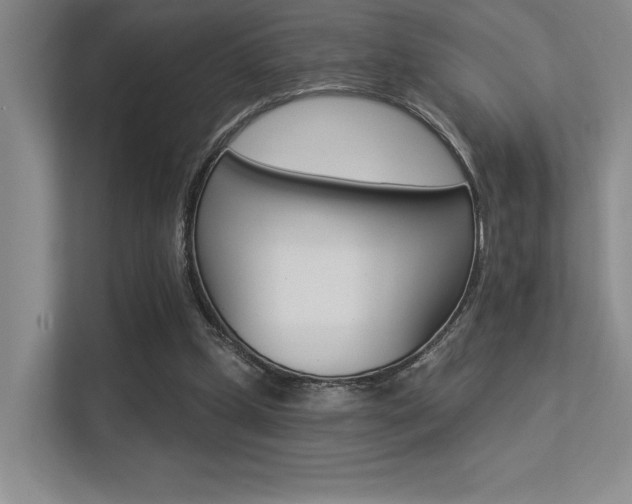 X0000113360249200909151012