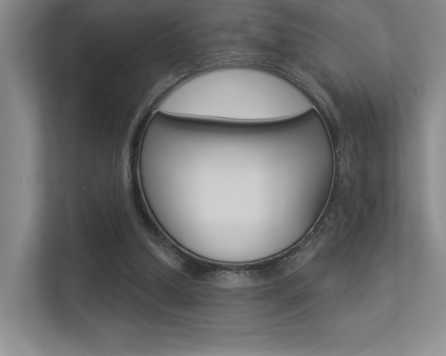 X0000113360250200909151012