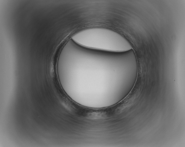 X0000113360251200909151012