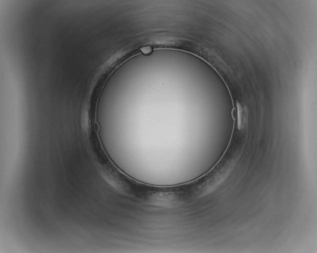 X0000113360252200909151012
