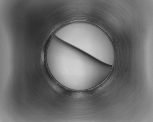 X0000113360253200909151012