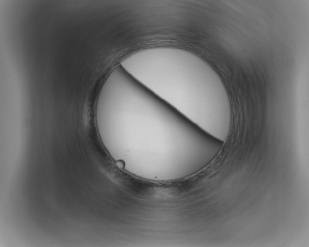 X0000113360255200909151012