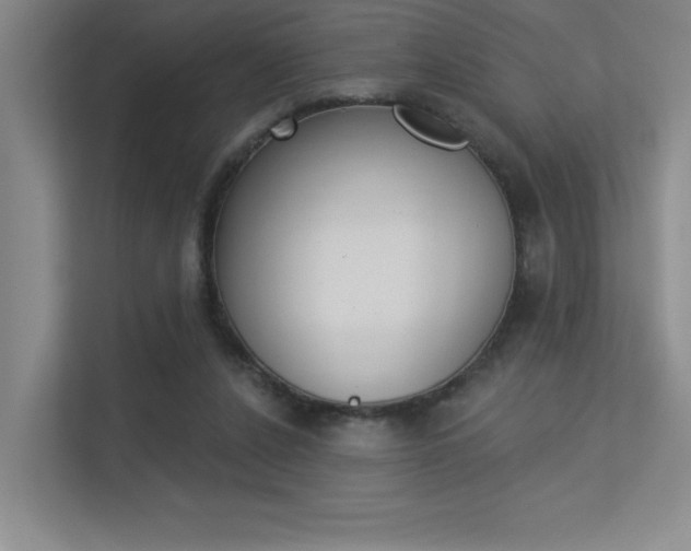 X0000113360256200909151012
