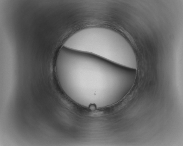 X0000113360257200909151012