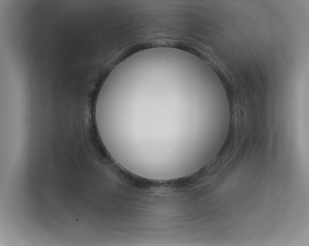 X0000113360259200909151012