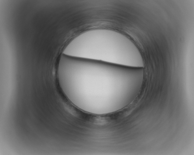 X0000113360261200909151012