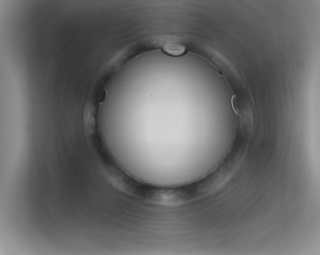 X0000113360264200909151012