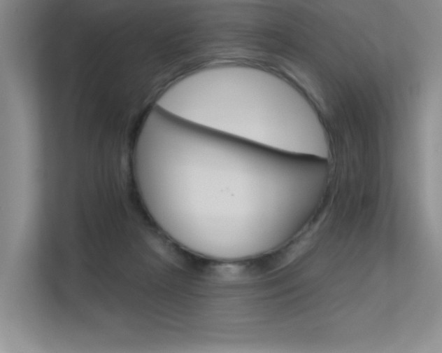 X0000113360265200909151012