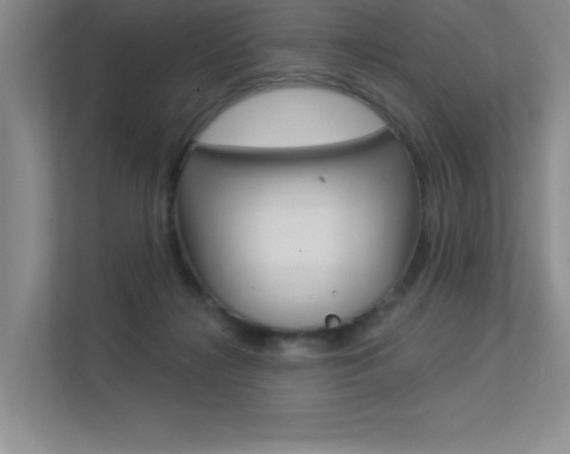 X0000113360268200909151012