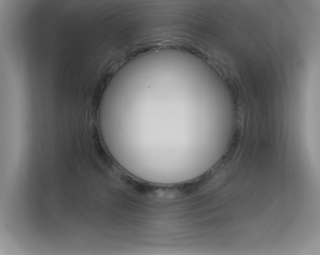 X0000113360272200909151012
