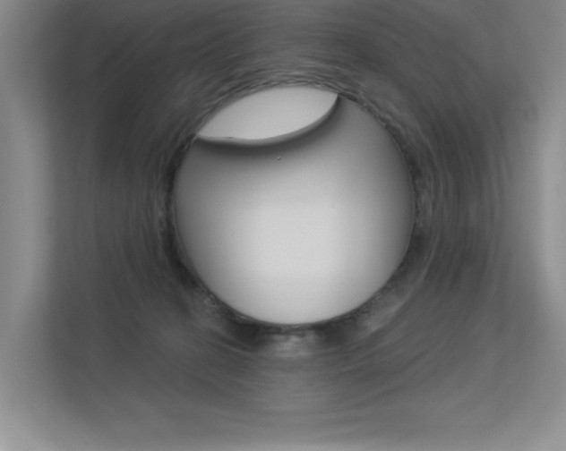 X0000113360274200909151012