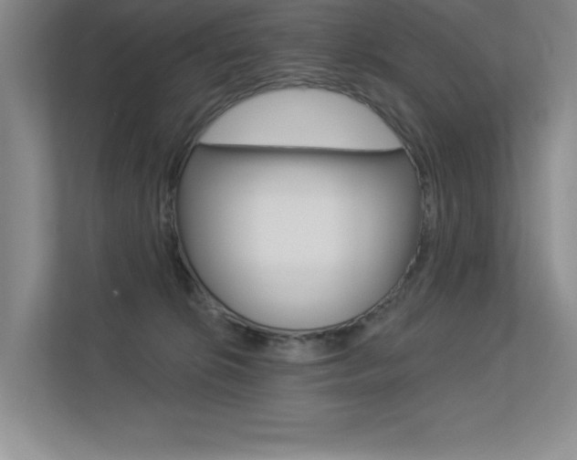 X0000113360276200909151012