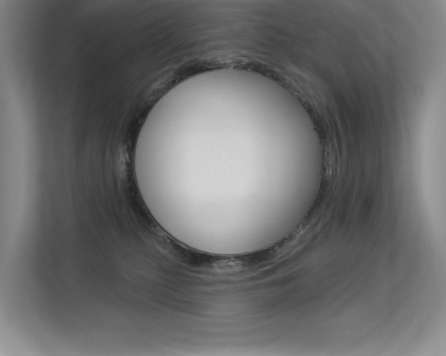 X0000113360279200909151012