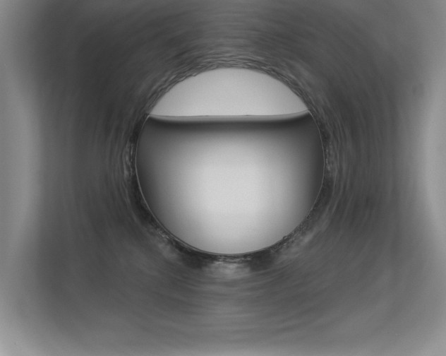 X0000113360280200909151012