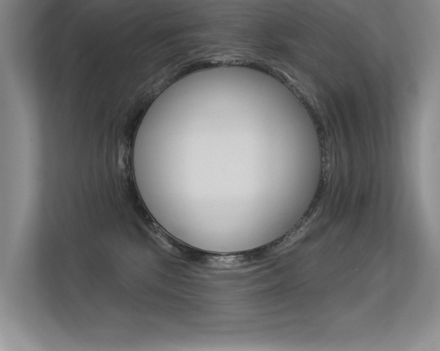 X0000113360281200909151012