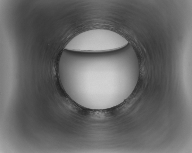X0000113360282200909151012