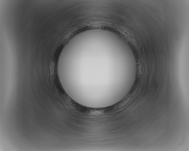 X0000113360283200909151012