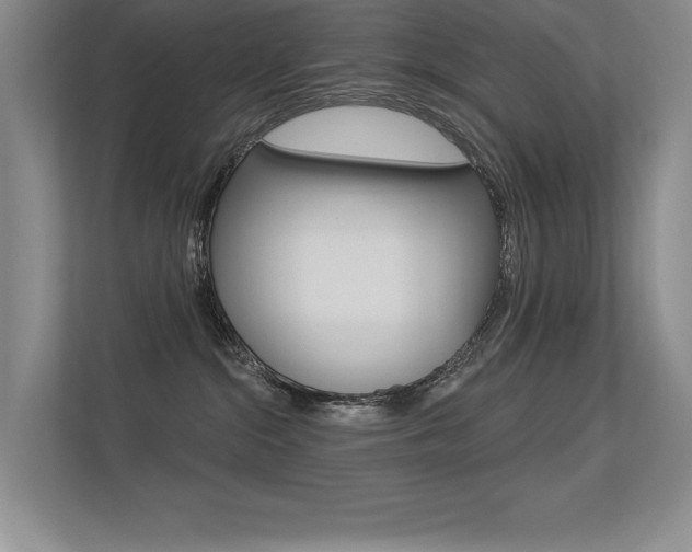 X0000113360284200909151012