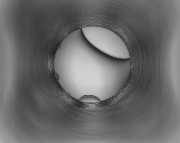 X0000113360285200909151012