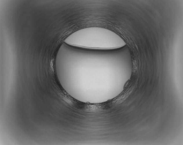 X0000113360286200909151013
