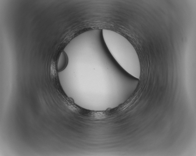X0000113360287200909151013