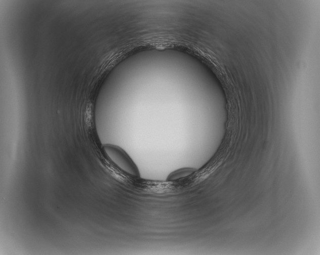 X0000113360288200909151013