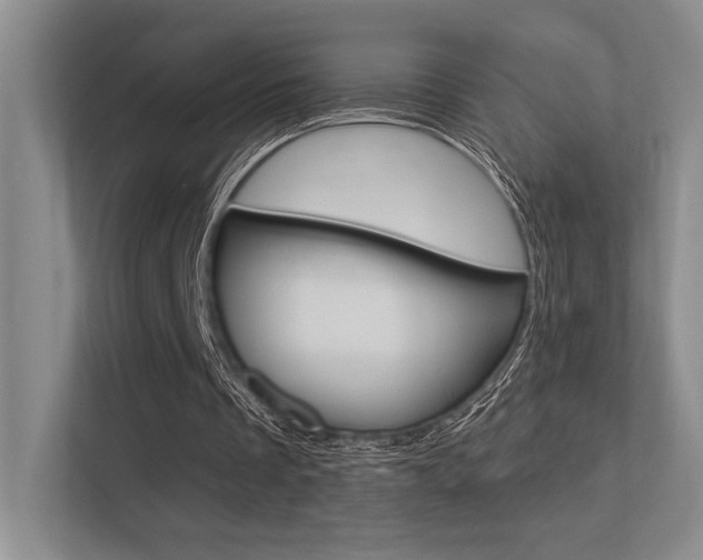 X0000113360289200909151012