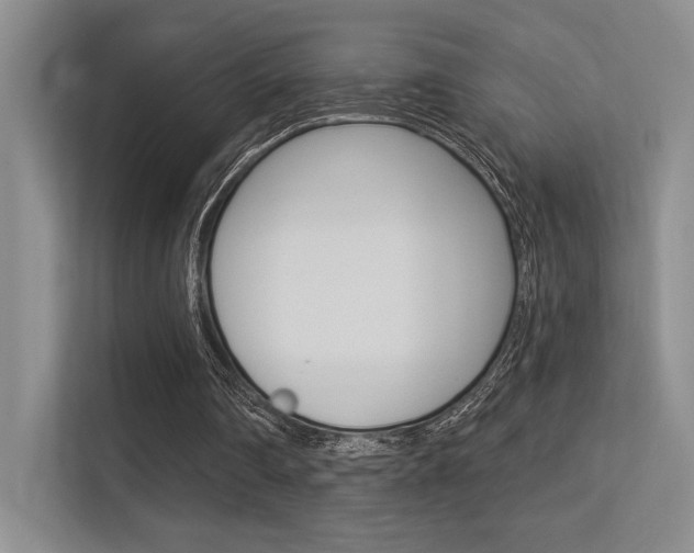 X0000113360290200909151012
