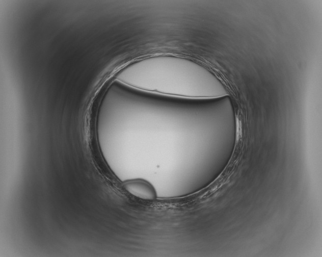 X0000113360291200909151012
