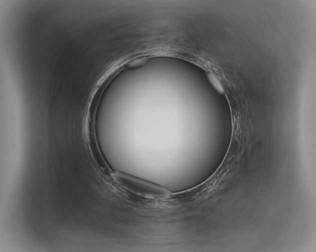 X0000113360292200909151012