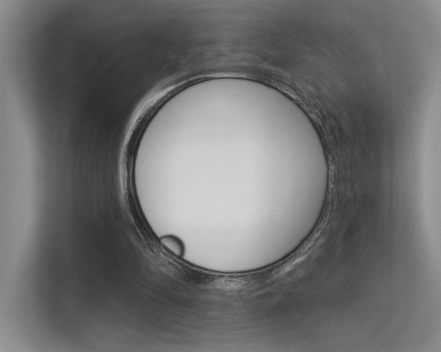 X0000113360294200909151012
