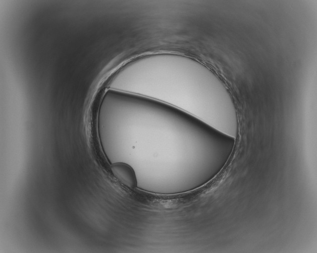 X0000113360295200909151012