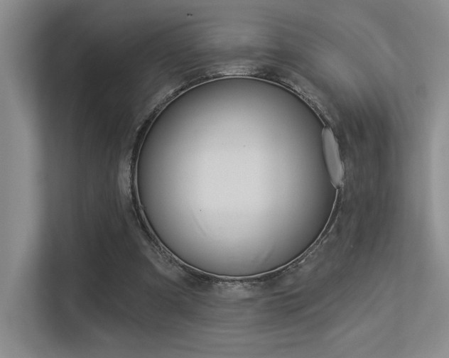 X0000113360297200909151012