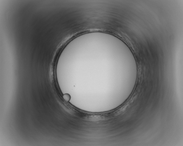 X0000113360298200909151012