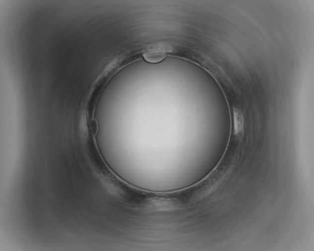 X0000113360300200909151012
