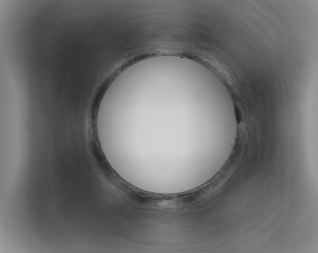 X0000113360306200909151012