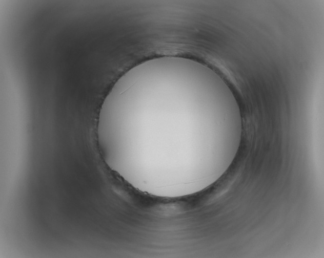 X0000113360307200909151012